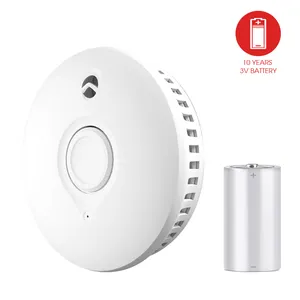 New Product China Interconnected Smoke Detector System 10 Years Mains Wireless Interlinked Smoke Alarms For Wales