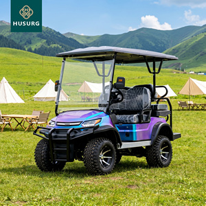 Carrello da Golf Elettrico con Vano Portaoggetti, Telaio in Acciaio, Costruzione Resistente e Antiruggine, Freni a Disco, Certificato EEC, 24V-72V, Sicuro e Affidabile - Product Image 1