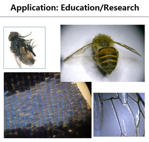 Boshida BD-SZM0750T-D1 7X-50X <span class=keywords><strong>Trinocular</strong></span>ステレオデジタル顕微鏡LED光源モバイル修理用 - Product Image 5