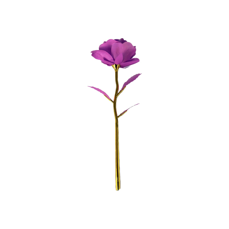 Violet (Macron)