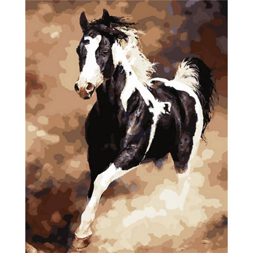 Black and White Horse