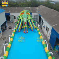 Château aquatique commercial WODI en PVC avec toboggan pour enfants et adultes, logo personnalisable gratuit