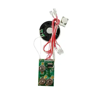 Modulo vocale del modulo del Chip sonoro a Led lampeggiante del biglietto di auguri personalizzato di fabbrica