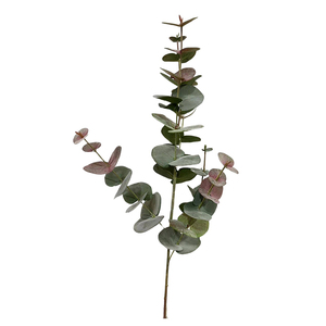 Qualidade <span class=keywords><strong>Eucalipto</strong></span> <span class=keywords><strong>artificial</strong></span> Deixa Unico <span class=keywords><strong>Eucalipto</strong></span> Stem Para decoración del hogar - Product Image 3