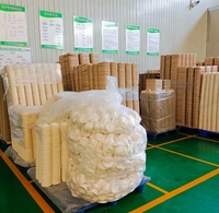 Assiettes rondes en bagasse de 10 pouces, écologiques, blanches, jetables, en fibre de canne à sucre, pour la restauration, les fêtes et les hôtels