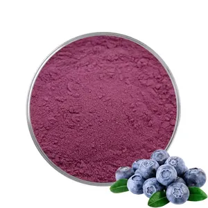 Free Samples Fresh Blueberry Juice Powder Blueberry Extract Bulk Blueberry Powder
