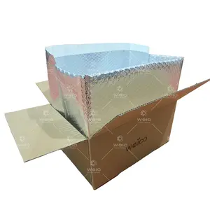 Frozen/Fresh Food Shipping Insulated box liner Custom Bubble Bag