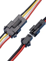 JST SM 2-Pin 3-Pin 4-Pin 2.54mm Pitch Plug pria dan wanita konektor adaptor dengan 100mm kawat kabel listrik untuk lampu LED