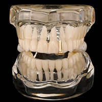 Hip Hop Nickel Free Safe Wear Cuivre Métal Premade GAP Dentaire Grilles Dents Plaqué Or Simple Argent Dent Supérieure Grillz