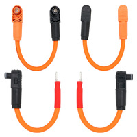 Kabel Harness Penghubung Penyimpanan Energi Tiang Baterai Pembangkit Listrik Tenaga Surya 1500V DC 300A