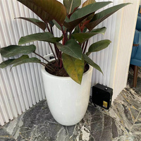 Application Bxaroma X300 pour le contrôle intelligent des diffuseurs d'arômes HVAC commerciaux, vaporisateur automatique pour chambre d'hôtel, nébuliseur pour parfum
