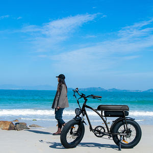 Vélo électrique de style <span class=keywords><strong>moto</strong></span> 2022 <span class=keywords><strong>Super</strong></span> 48v 350w/500w <span class=keywords><strong>73</strong></span> pneus larges Vélo électrique Vélo électrique - Product Image 5