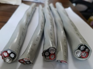 <span class=keywords><strong>สาย</strong></span>เคเบิลได้รับการรับรองจาก Nmd90ลวดไฟฟ้าม้วน150เมตร/75เมตรลวดทองแดงสำหรับตลาดแคนาดา - Product Image 2