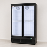 Congélateur commercial pour crème glacée homologué ETL -24°C, vitrine verticale à porte vitrée pour le marché américain