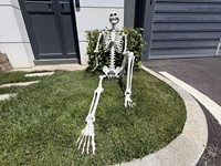 Squelette géant de 240 cm, taille réelle, décoration d'Halloween pour la cour extérieure, décoration de maison hantée