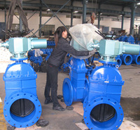 Actionneurs de vannes à opercule manuels en fonte ductile Z945X-16Q GGG50 à siège résilient 100NM IP55