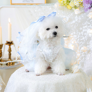 PETCIRCLE Vêtements pour animaux de compagnie Printemps/Été : Tenues pour chiens et chats en combinaison jupe et voile en gaze bleue et blanche - Product Image 1
