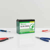 Batterie solaire au lithium fer phosphate 12,8 V, prix usine, 20 Ah, 30 Ah, 40 Ah, LiFePO4, coque ABS, BMS intelligent