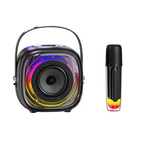 Usine en gros Baffle haut-parleur karaoké BT <span class=keywords><strong>w</strong></span> <span class=keywords><strong>King</strong></span> 12 pouces Mini avec de haute qualité - Product Image 2