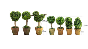 6 formas Artificial <span class=keywords><strong>musgo</strong></span> fresco <span class=keywords><strong>bolas</strong></span> planta verde hermosa Casa <span class=keywords><strong>de</strong></span> la decoración del Partido <span class=keywords><strong>de</strong></span> Moss adorno DIY Artificial <span class=keywords><strong>de</strong></span> hierba - Product Image 2