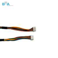 PH 2.0mm 10Pin Double Row Male to Male Harness 250mm UL1007 28AWG Berkode Warna Dengan Pita Asetat untuk Kontrol Industri