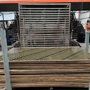 Singer Doka Like H20 Wood Beam Timber For Formwork Scaffolding