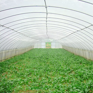 Film de polythène en <span class=keywords><strong>plastique</strong></span> à portée unique de haute qualité <span class=keywords><strong>Tunnel</strong></span> de squelette en acier galvanisé élèvent la serre de tente <span class=keywords><strong>pour</strong></span> les <span class=keywords><strong>semis</strong></span> - Product Image 1