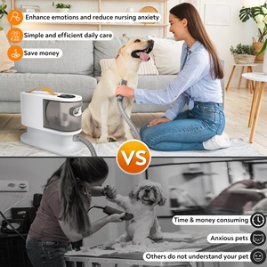 Aspiradora de Pelo para Perros y Gatos <span class=keywords><strong>IMASS</strong></span> de Alta Calidad, 400W, 12000Pa, 5 en 1, Ecológica, con Materiales de Poliéster y Goma, Certificación CE - Product Image 5