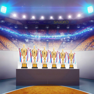 Precio al por mayor Grammy Award Pigeon Trophy Custom Award World Sport Cup Trophy Metal Basketball Trofeos - Product Image 6