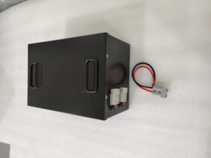 Batterie de véhicule tricycle/pedicab 3000W la moins chère, batterie de véhicule agricole DL-5150 51.2V 50Ah 16S1P, pack batterie 48V LFP4850 48V L - Product Image 5