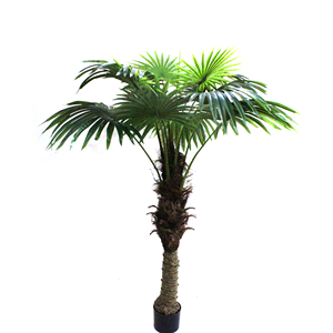 Palmier Artificiel, Palmier Artificiel à Succès, Grandes Plantes Artificielles, Décorations de <span class=keywords><strong>Palmiers</strong></span> Artificiels - Product Image 2
