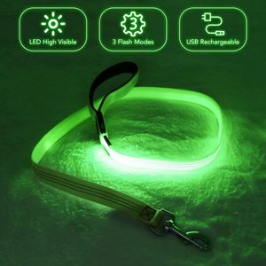 New Release USB Rechargeable LED <b>Dog</b> Leash Night Glow Dark <b>Light</b>-Up Feature 10 Hours Runtime Eco-Friendly Nylon Material Fashion - Product Image 6