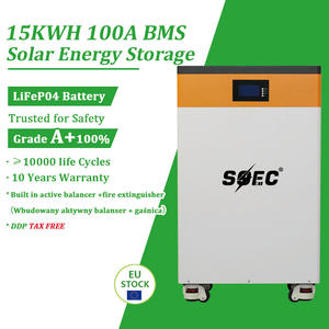 Disponibilità EU: Sistema di accumulo energetico da 16 kWh 51.2V 314Ah con bilanciatore attivo integrato da 5A + estintore + BMS da 200A - Product Image 6
