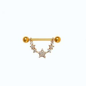 Joyería Corporal Sexy Personalizada para Mujer, Anillos de Acero Inoxidable para Pezones, Pendientes Helix, Joyería para <span class=keywords><strong>Piercing</strong></span> <span class=keywords><strong>en</strong></span> el Pecho - Product Image 5