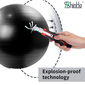 Pelota de Yoga Shinho, la Mejor, Personalizada, 100% Material Fresco, Ecológica, Cumple con REACH CA65, para Yoga, Pilates, Fitness, Entrenamiento de Equilibrio, 45/55/65/75/85 cm - Product Image 3