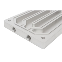 Plaque de refroidissement d'eau liquide en aluminium de refroidissement de plaque froide liquide personnalisée pour dispositif de refroidissement électronique