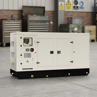 Générateur diesel agricole professionnel 15kW-50kW, démarrage automatique, contrôleur intelligent, groupe électrogène diesel pour serre et élevage avicole