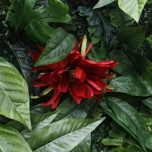 Best Price Customized Outdoor <strong>Wall</strong> Decor <strong>Artificial</strong> Hanging <strong>Grass</strong> Fabric Flower+cloth Backing Green <strong>Wall</strong> <strong>Panel</strong> Floral Design - Product Image 5