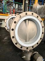 Vanne papillon à double bride avec revêtement PTFE anti-corrosion, corps en acier 304, disque en acier 416, tige, pour applications chimiques, approvisionnement transfrontalier