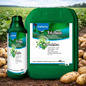 <span class=keywords><strong>Engrais</strong></span> Liquide Organique OEM <span class=keywords><strong>pour</strong></span> l'Enracinement des Pommes <span class=keywords><strong>de</strong></span> <span class=keywords><strong>Terre</strong></span>, Améliore le Système Racinaire et la Vitalité des Cultures - Product Image 1
