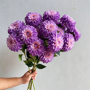 Nuovo Design Fiore di Dalia Artificiale in Seta, Singola Testa Rosa e Bianca, Fiori Artificiali di Dalia per Decorazioni Matrimoniali - Product Image 2
