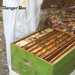 Hot Sale Plastic and Wood Lid <b>Black</b> Bee Hive Frame Water Feeder for Bees - Product Image 3