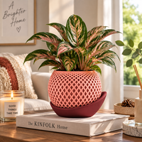 Pot de fleurs imprimé en 3D personnalisé avec soucoupe, pot décoratif moderne pour plantes d'intérieur, pot à fleurs en PLA pour la décoration de la maison et du bureau