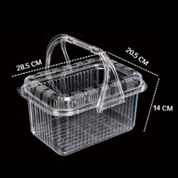 Récipient alimentaire transparent de qualité alimentaire personnalisé, forme rectangulaire, plateau de fruits pour collation avec couvercle, boîte d'emballage en plastique PET