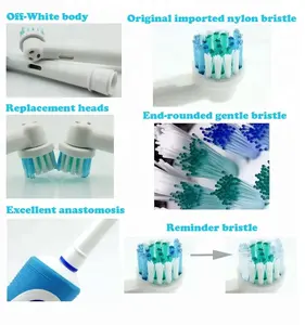 Sb-17A Orginal Eco Friendly Refillable Black Round Head Electric Travel Toothbrush Head With Replaceable Toothbrush Head