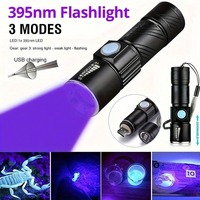 Linterna UV de 395nm con Zoom, Luz Negra Recargable por USB, Aleación de Aluminio, IP44, Detección de Orina de Mascotas, Iluminación para Curación