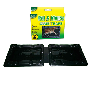 Trampas Adhesivas para Ratones de Alta Eficiencia y Ecológicas para Interiores, Trampa para Roedores, Multi Captura, Plástico Desechable - Product Image 1