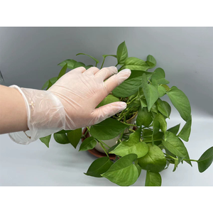 Guantes de vinilo para limpieza del hogar, flexibles, transparentes, sin polvo, Pvc, superventas - Product Image 5