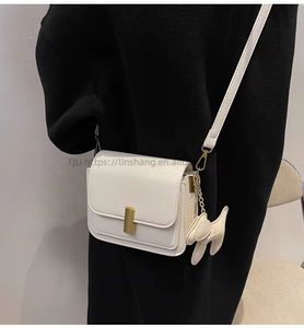 High Quality <b>Small</b> Square Purse Crossbody Bag Women <b>Handbags</b> Shoulder Bag Big and <b>Small</b> Size for Ladies Tanjing - Product Image 4