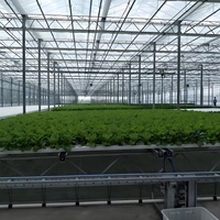 Commercial Agriculture Serre Weifang Fournisseur pour la Vente